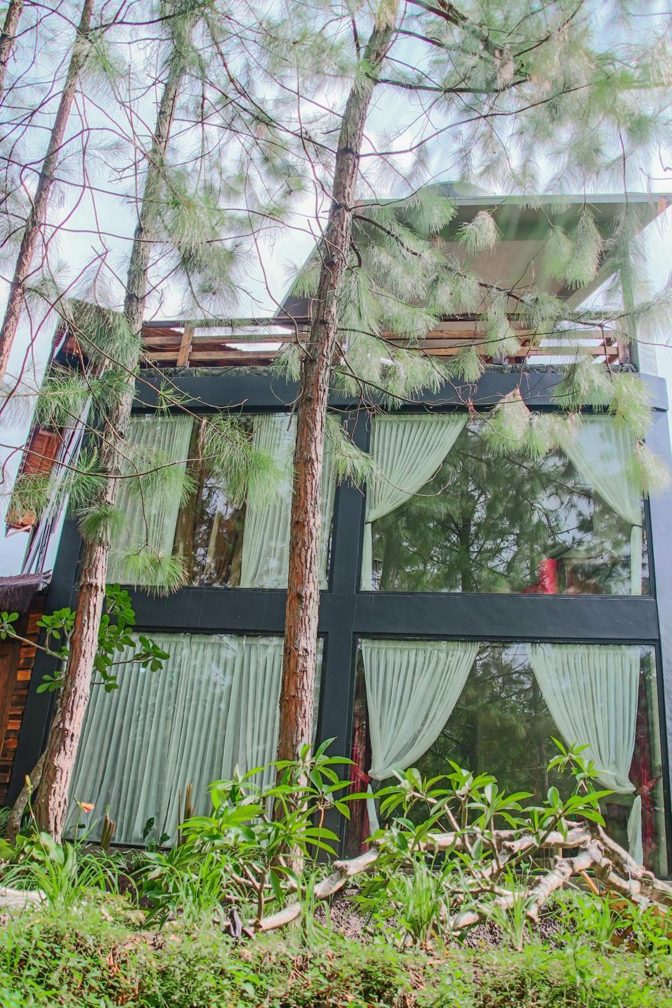 Omah Kayu Bromo Villa Ngadisari Ngoại thất bức ảnh