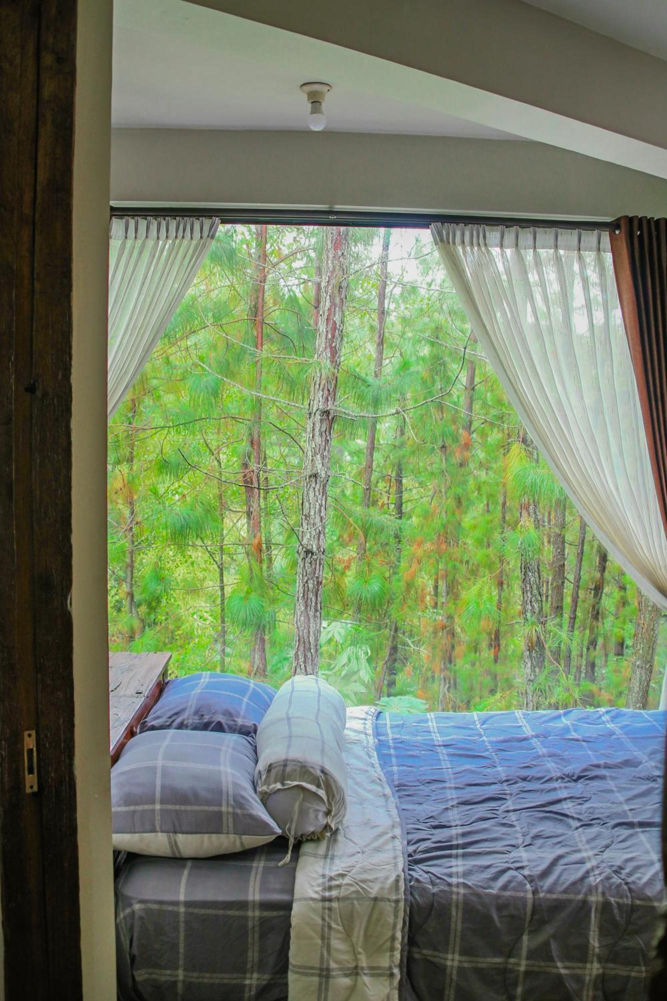 Omah Kayu Bromo Villa Ngadisari Ngoại thất bức ảnh