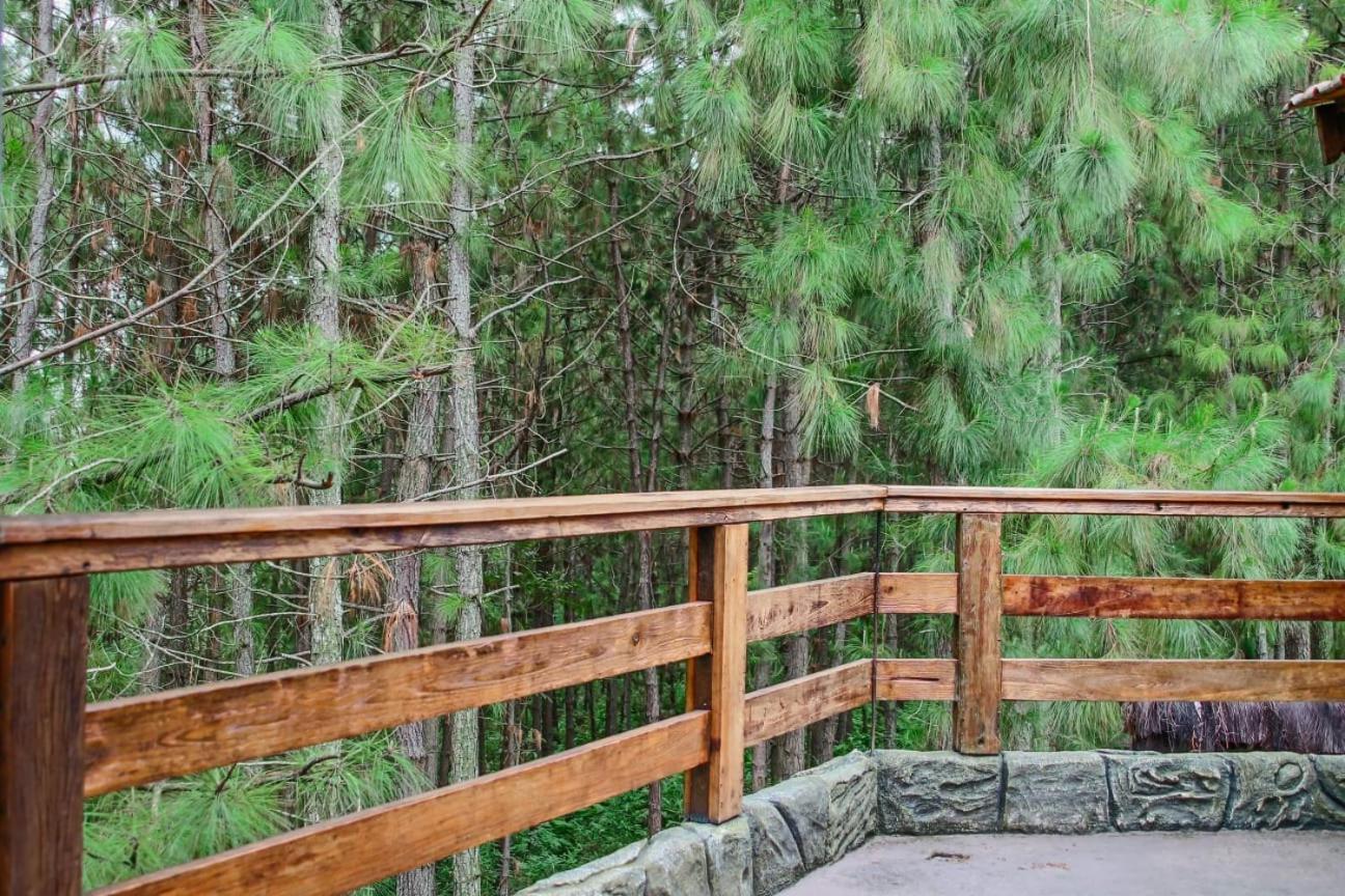 Omah Kayu Bromo Villa Ngadisari Ngoại thất bức ảnh